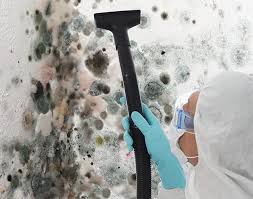 Best Mold Damage Restoration  in Hamtramck, MI